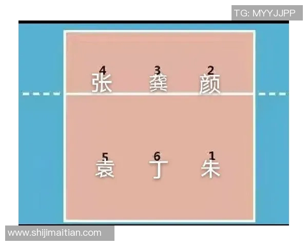 重庆排球队反击战术分析与比赛表现的得失评估 重庆排球队反击战术分析与比赛表现的得失评估