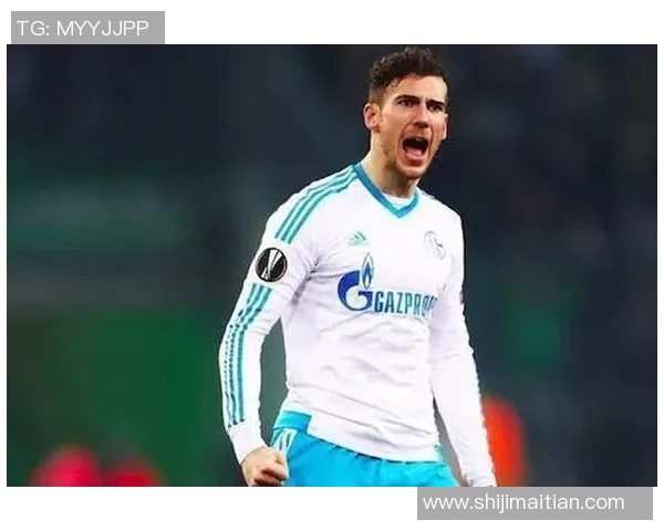 格雷茨卡：从德甲新星到国家队核心的成长之路与未来展望