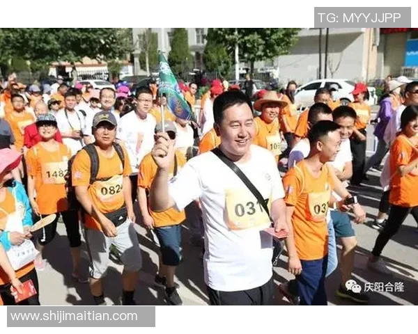 汉诺威与汉堡激战回顾2017年9月16日精彩瞬间与赛后分析