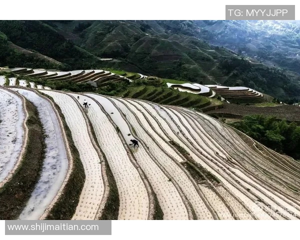 鲁本迪亚斯:从新星崛起到足坛巨星的辉煌历程与未来展望 鲁本迪亚斯:从新星崛起到足坛巨星的辉煌历程与未来展望