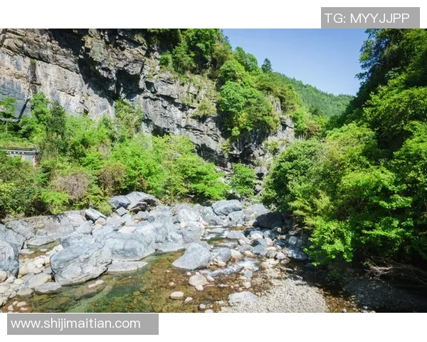 群马温泉与山形山的魅力对比探寻温泉与自然的完美结合