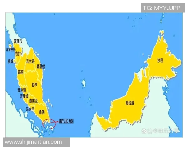马来西亚与新加坡足球对抗赛回顾与展望分析