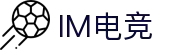 IM(股份有限公司)电竞-电子竞技平台